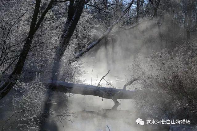 横山区举行2024年上半年征兵宣传暨现场政策解答活动
