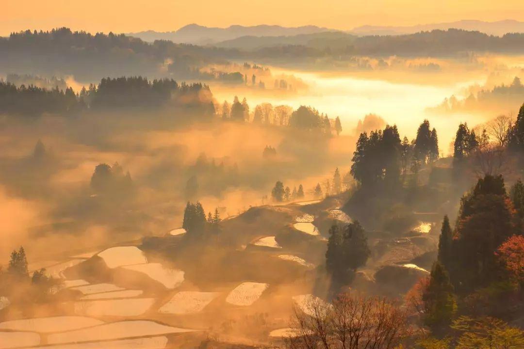 决战平安京