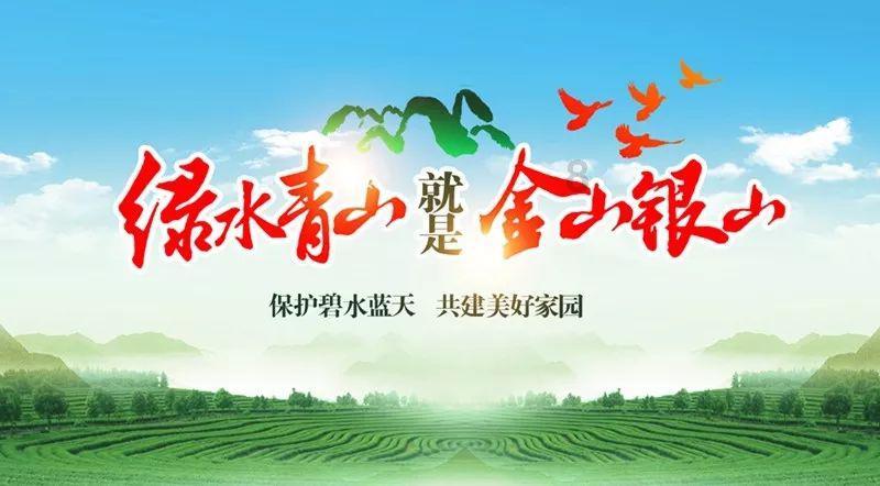 牛油果面包