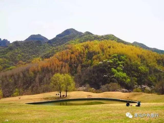 拯救星座3