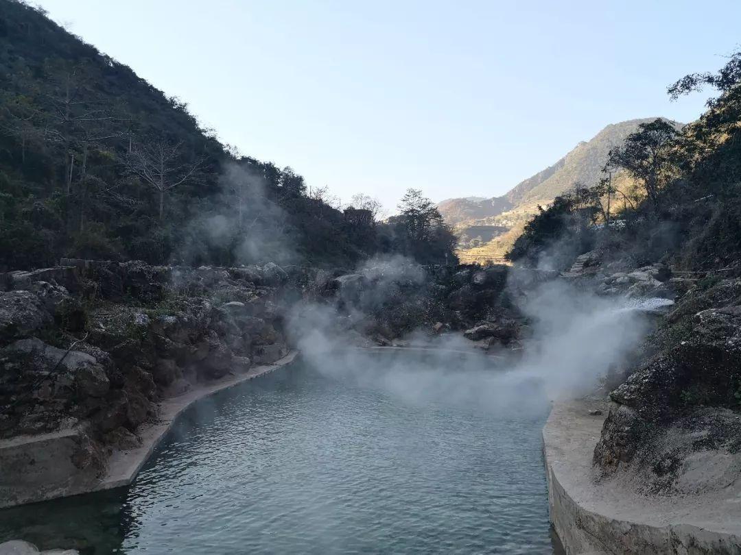 老鹰官方:特雷-杨进入联盟脑震荡保护协议