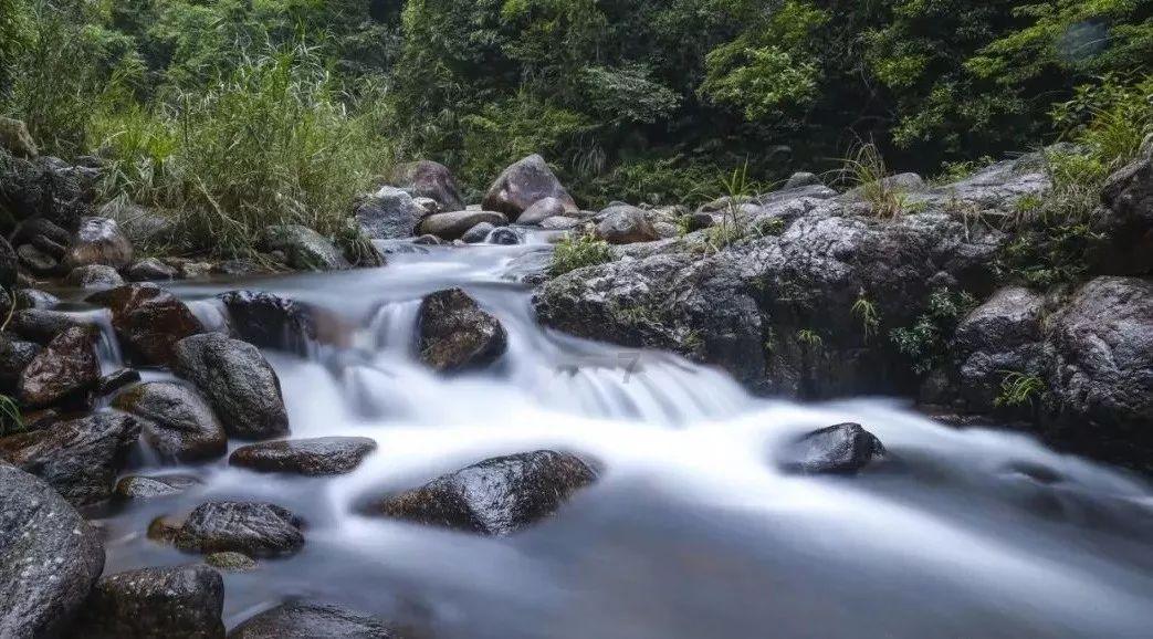 51岁张惠妹好惊艳,身材恢复巅峰时刻,穿20cm高跟鞋现身杭州