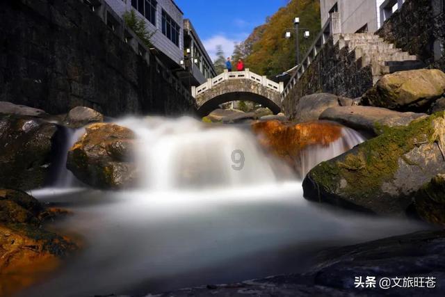 小宝贝仪仗队