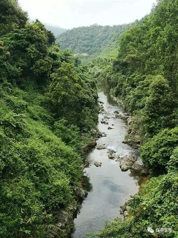 逃出无人荒岛