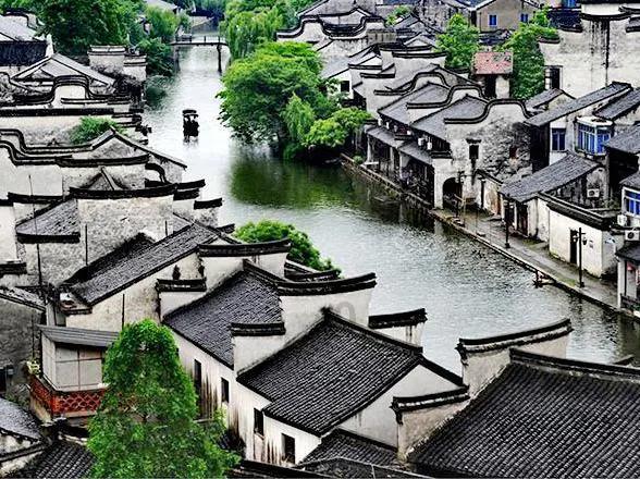 可爱兔子营救