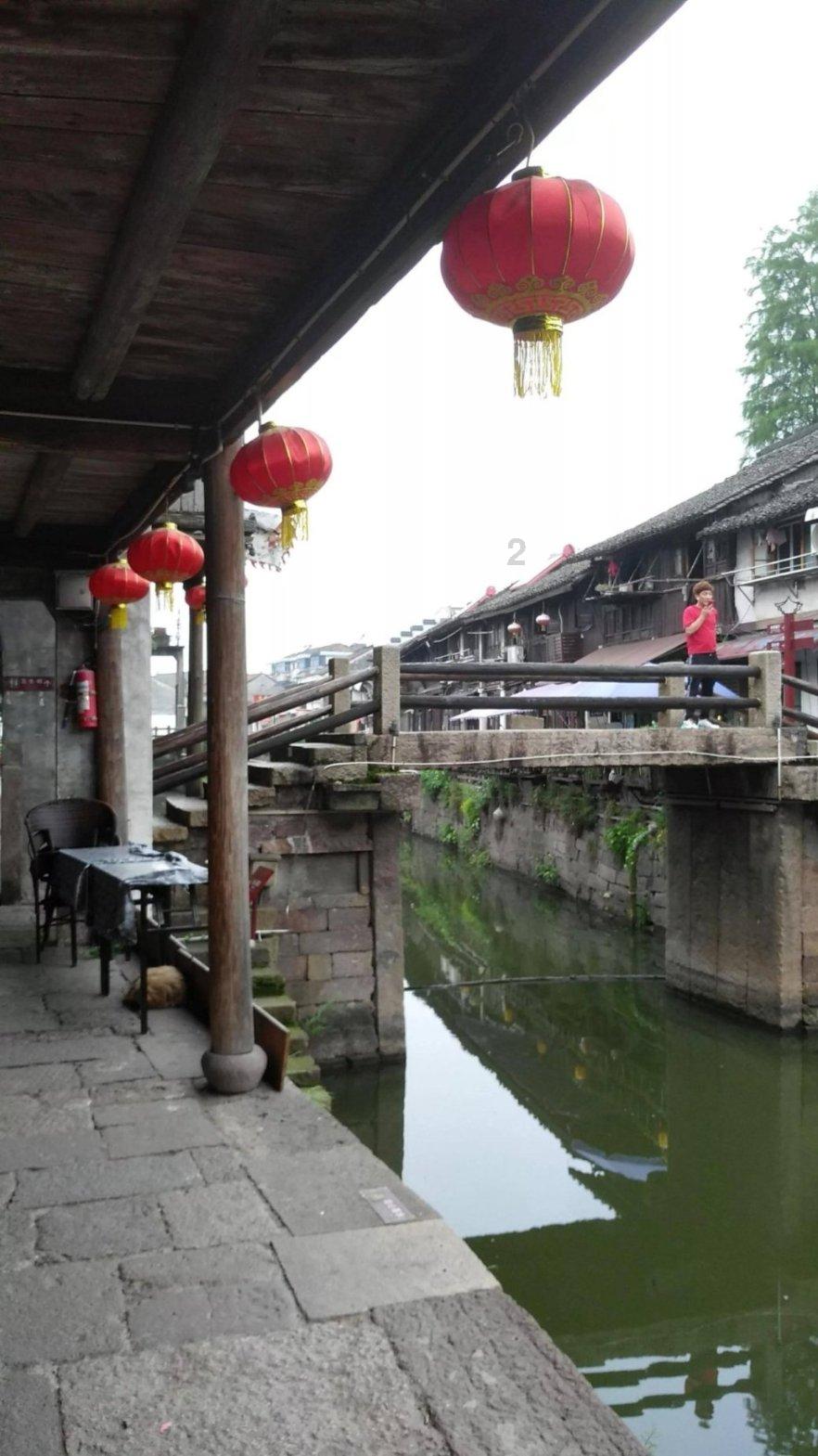 逃离变色龙森林