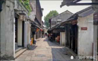 探索知识星球平台历史:唐代真的以胖为美吗?的神奇世界!